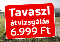 Biztos alapok minden útra – Tavaszi átvizsgálás 6.999 Ft-ért